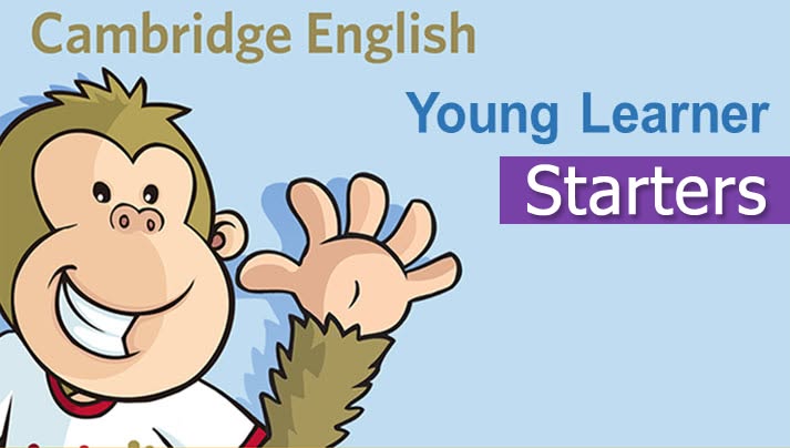 Cambridge Pre A1 Starters: La Primera Certificación Sin Miedos para tus Alumnos